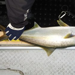 第二龍勢丸 釣果