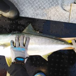 第二龍勢丸 釣果