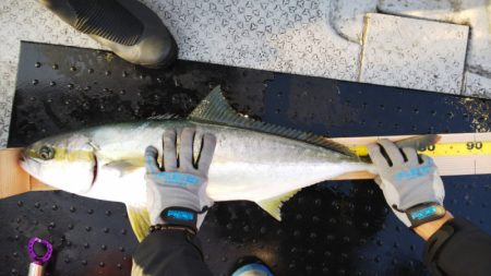 第二龍勢丸 釣果