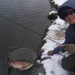 つりぼりあかし 釣果