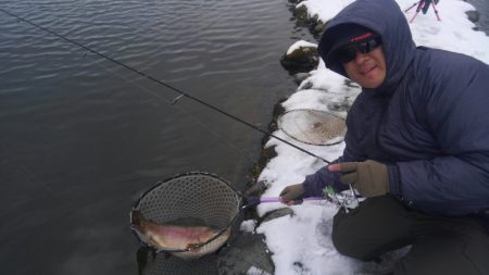 つりぼりあかし 釣果