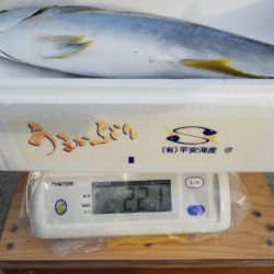 第二龍勢丸 釣果