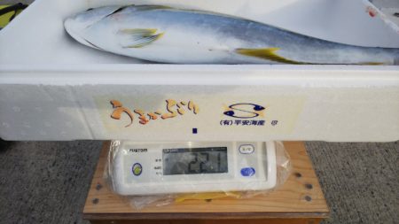 第二龍勢丸 釣果