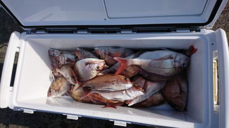 第三共栄丸 釣果