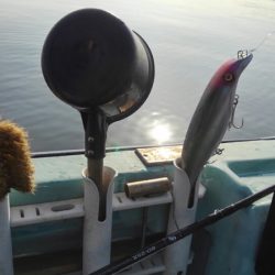 アマテラス 釣果