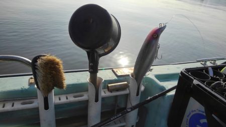 アマテラス 釣果