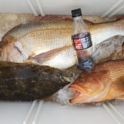 第二龍勢丸 釣果