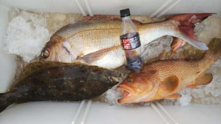 第二龍勢丸 釣果