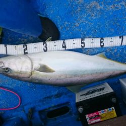 海龍丸（石川） 釣果