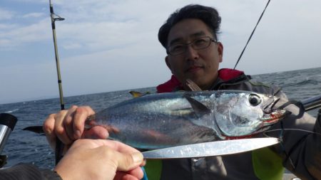 阿波哲 釣果