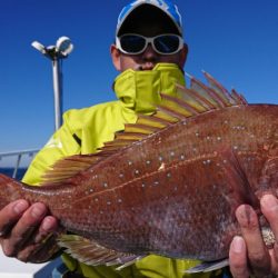 第三共栄丸 釣果