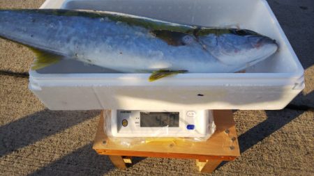 第二龍勢丸 釣果