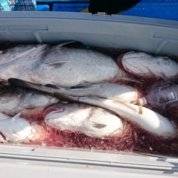 海龍丸(石川) 釣果