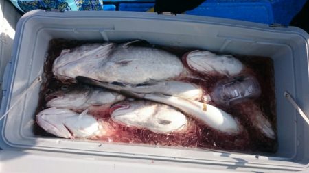 海龍丸(石川) 釣果