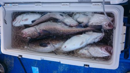 海龍丸(石川) 釣果