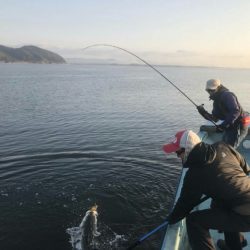 アマテラス 釣果