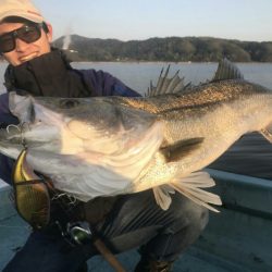 アマテラス 釣果