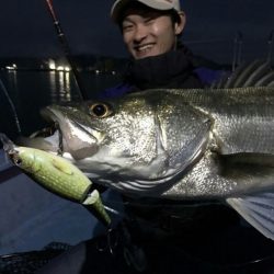 アマテラス 釣果