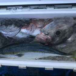 海龍丸（石川） 釣果