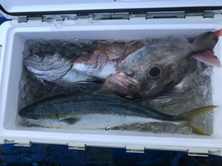 海龍丸（石川） 釣果