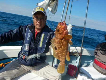 きずなまりん 釣果