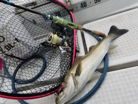 海龍丸（島根） 釣果