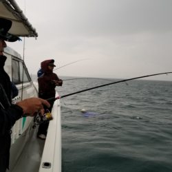 ソルトウォーターガイドフレンズ 釣果