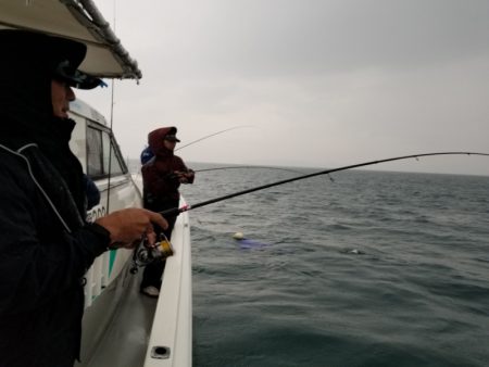 ソルトウォーターガイドフレンズ 釣果