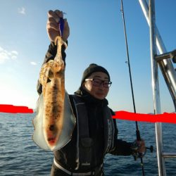 きずなまりん 釣果