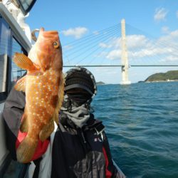 きずなまりん 釣果