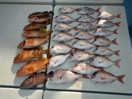 きずなまりん 釣果