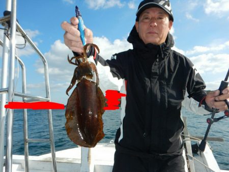きずなまりん 釣果