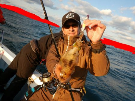 きずなまりん 釣果