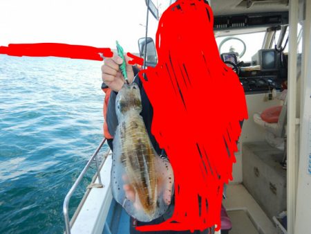 きずなまりん 釣果