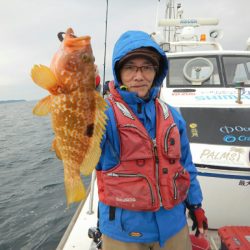 きずなまりん 釣果