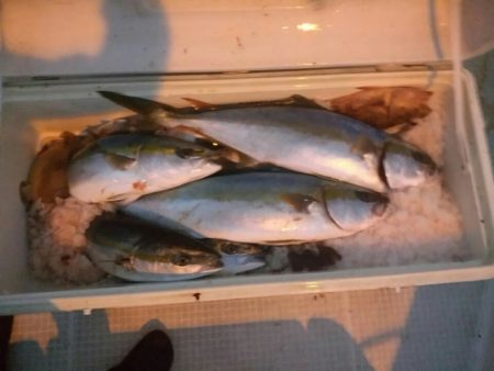bay style 釣果