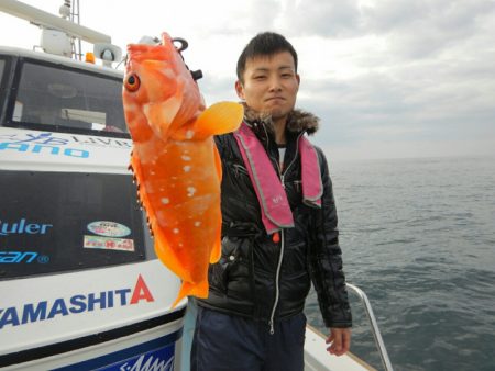 きずなまりん 釣果