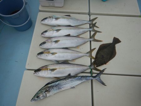 きずなまりん 釣果