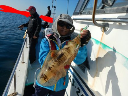 きずなまりん 釣果