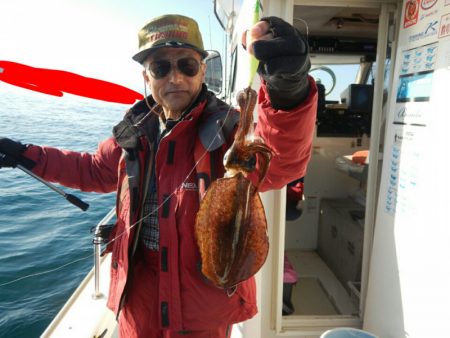 きずなまりん 釣果