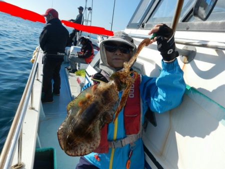 きずなまりん 釣果