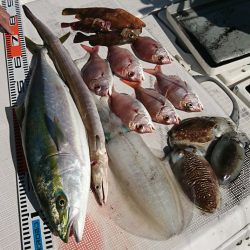 遊漁船 家入 釣果