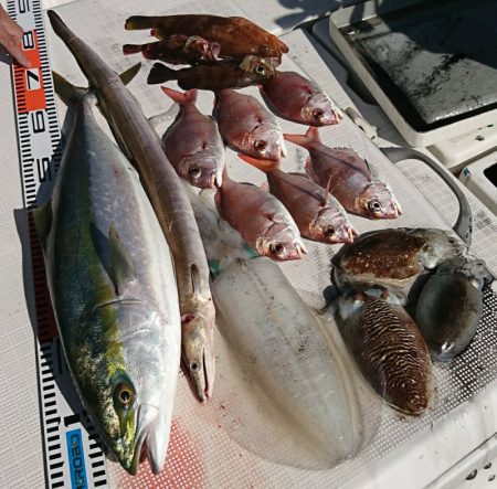 遊漁船 家入 釣果