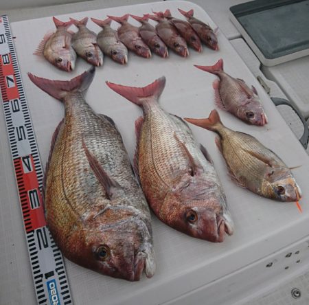 遊漁船 家入 釣果