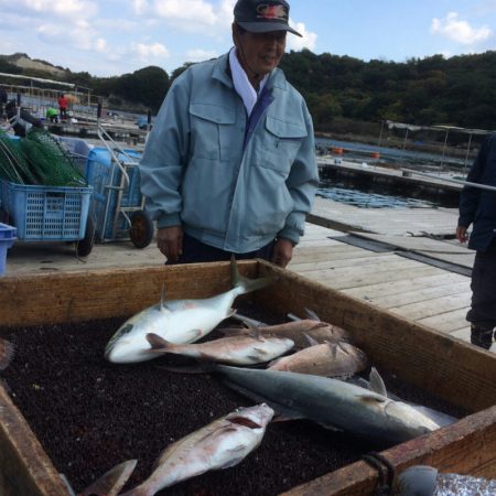 海の釣堀 海恵 釣果