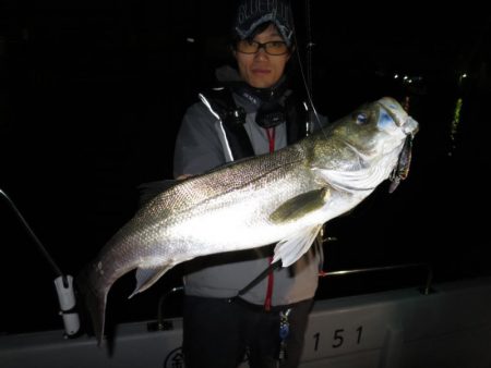 Chase（チェイス） 釣果