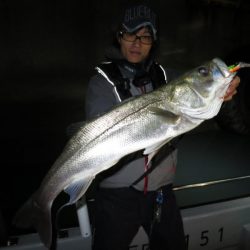 Chase（チェイス） 釣果