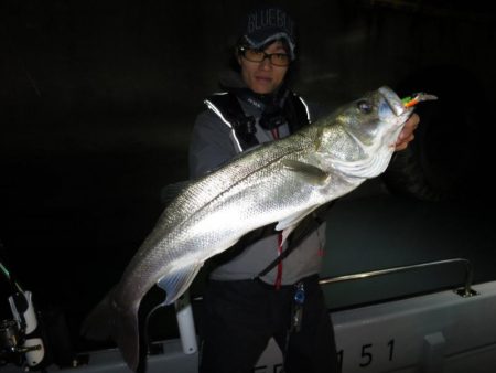 Chase（チェイス） 釣果