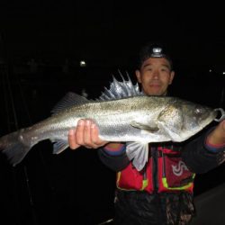 Chase(チェイス) 釣果