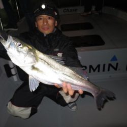 Chase(チェイス) 釣果